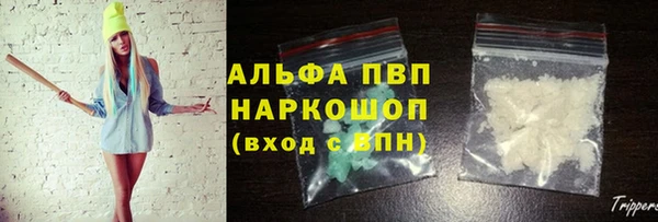 PSILOCYBIN Балабаново